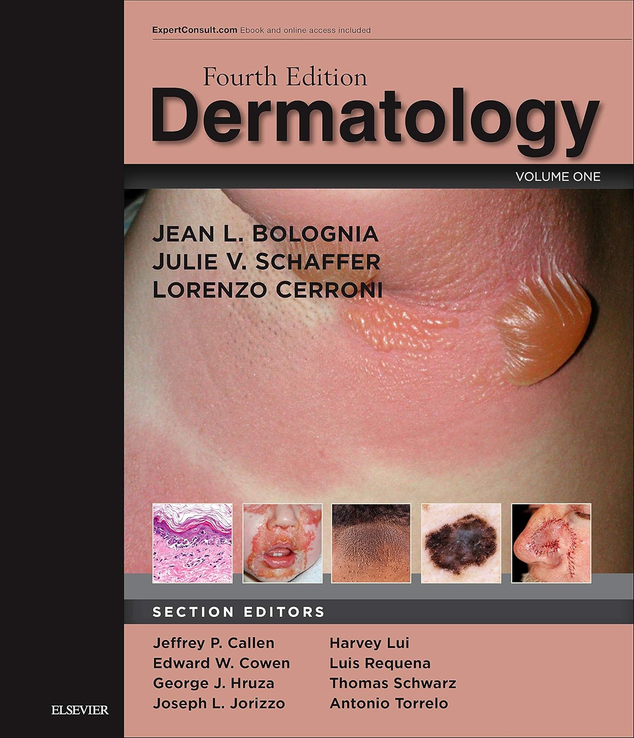 Dermatology: 2 - Volume Set 4th Edition - Books Bank