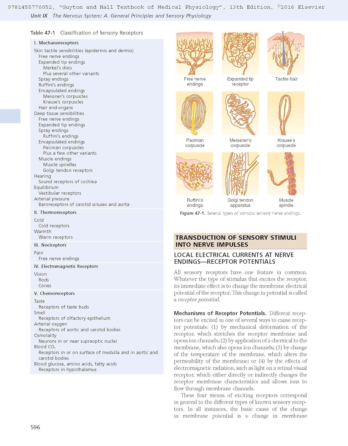 Guyton and Hall Textbook of Medical Physiology (Guyton Physiology) 13th Edition - Books Bank