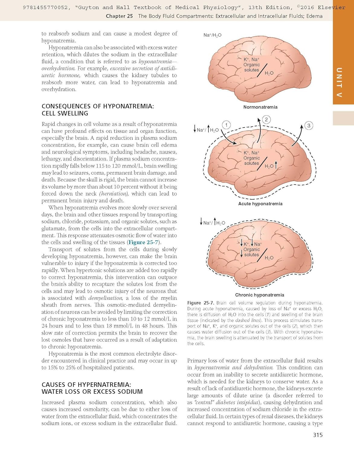 Guyton and Hall Textbook of Medical Physiology (Guyton Physiology) 13th Edition - Books Bank