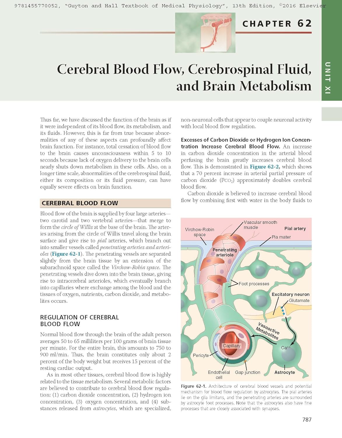 Guyton and Hall Textbook of Medical Physiology (Guyton Physiology) 13th Edition - Books Bank
