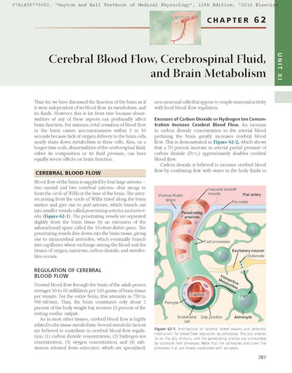 Guyton and Hall Textbook of Medical Physiology (Guyton Physiology) 13th Edition - Books Bank